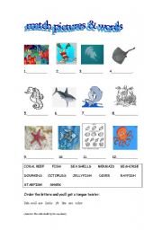 English Worksheet: Sea animals worksheet for children