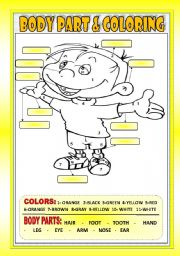 English Worksheet: BODY PARTS & COLORING