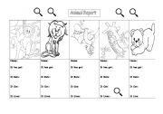 English worksheet: Animal Report