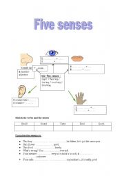 English Worksheet: five senses 