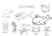 Sea animals