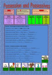 English Worksheet: Possession and Possesives