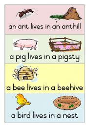 English Worksheet:  19 Animal Homes - Poster 1