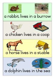 English Worksheet: 19 Animal Homes - Poster 2