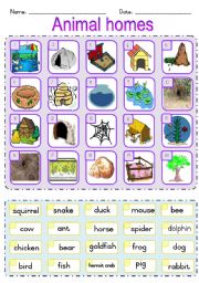 English Worksheet: Animal Homes matching ws