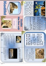English Worksheet: Kadiki the lion cub who did not want to play.