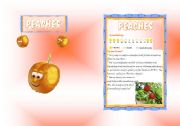 English Worksheet: FRUITS BOOKLET (8) B/W included