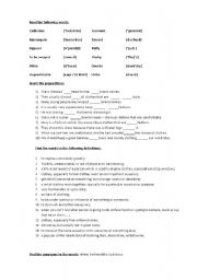 English Worksheet: fashion victim (vocabulary exercises) Part 2