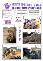 FUNNY MOTHERS DAY - THE BEST MOTHER CONTEST - 7 Wild animals + Human being + activities and exercises for fun