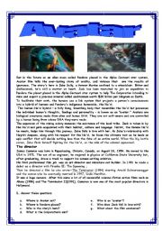 English Worksheet: avatar