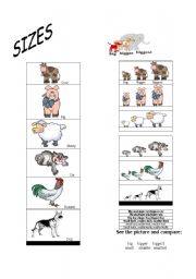 English worksheet: SIZES