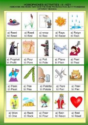 English Worksheet: HOMOPHONOUS II  - ACTIVITIES  +  KEY  ANSWER - FULLY EDITABLE