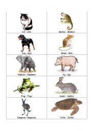 English Worksheet: Animal Flashcards