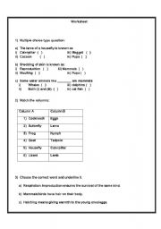 English worksheet: animal life