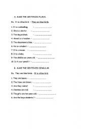 English worksheet: sngular-plural