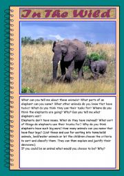 English Worksheet: Picture Talk: Elephants