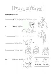 English worksheet: i have a cat