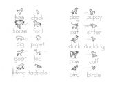 English Worksheet: Mother and baby animals