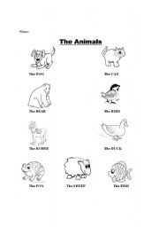 English worksheet: ANIMALS