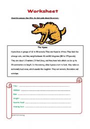 English worksheet: Hyena the animal