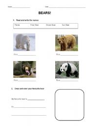 English worksheet: Bears!