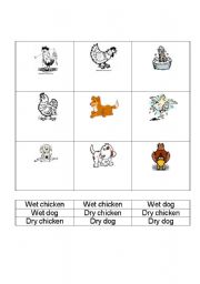 English Worksheet: Wet vs. Dry