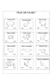 true or false (animals)
