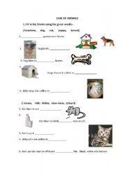 English worksheet: ANIMALS