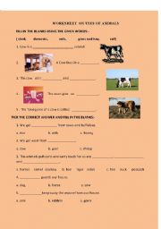 English worksheet: USES OF ANIMALS