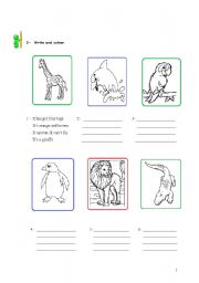 English worksheet: animal description and colouring