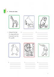 English Worksheet: animal description and colouring