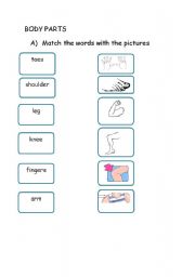 English worksheet: Body Parts