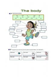 English Worksheet: body