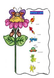 English Worksheet: SPACE LIFE