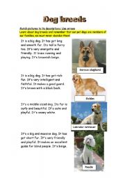English Worksheet: Dog breeds