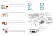 English Worksheet: EXAM 1ST TERM. 1ST GRADE ESO