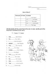 English Worksheet: Have or Has? w/ Pronouns & Parts of the Body (young/beginner learners)