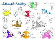 English Worksheet: Animal Family Vocabulary