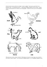 English worksheet: animals