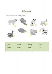 English worksheet: Animals: match the animals with the pictures