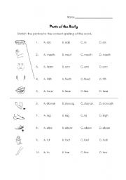 English Worksheet: Parts of the Body Identification and Spelling Quiz (young/beginners)