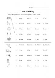 English worksheet: Parts of the Body Identification and Spelling Quiz (young/beginners)