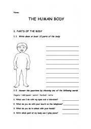 English Worksheet: The Human Body