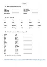 English worksheet: Animals