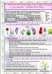 English Worksheet: Flowers