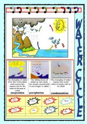 English Worksheet: WATER CYCLE