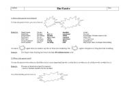 English worksheet: The passive rules