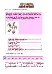 English Worksheet: reading and comprehension