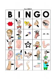 English Worksheet: body bingo