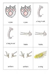 English Worksheet: Animals body 2